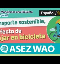 Descubre cómo disfrutar de un transporte sostenible durante tus viajes
