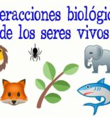 Descubre cómo fomentar la interacción con la población local: estrategias efectivas para conectar con tu comunidad