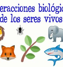 Descubre cómo fomentar la interacción con la población local: estrategias efectivas para conectar con tu comunidad