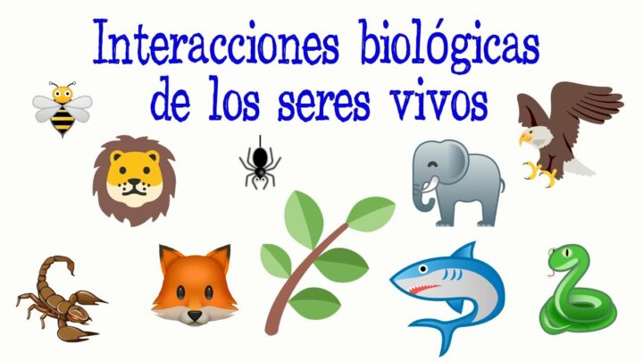 Descubre cómo fomentar la interacción con la población local: estrategias efectivas para conectar con tu comunidad