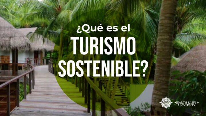Descubre el increíble mundo del ecoturismo y cómo puedes viajar de manera sostenible
